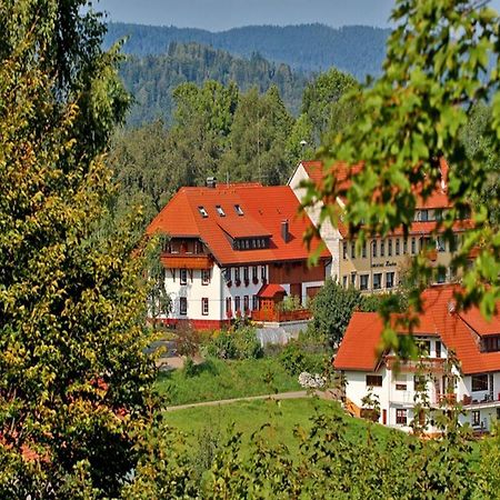 Haus Schlageter Dachsberg im Schwarzwald Exterior foto