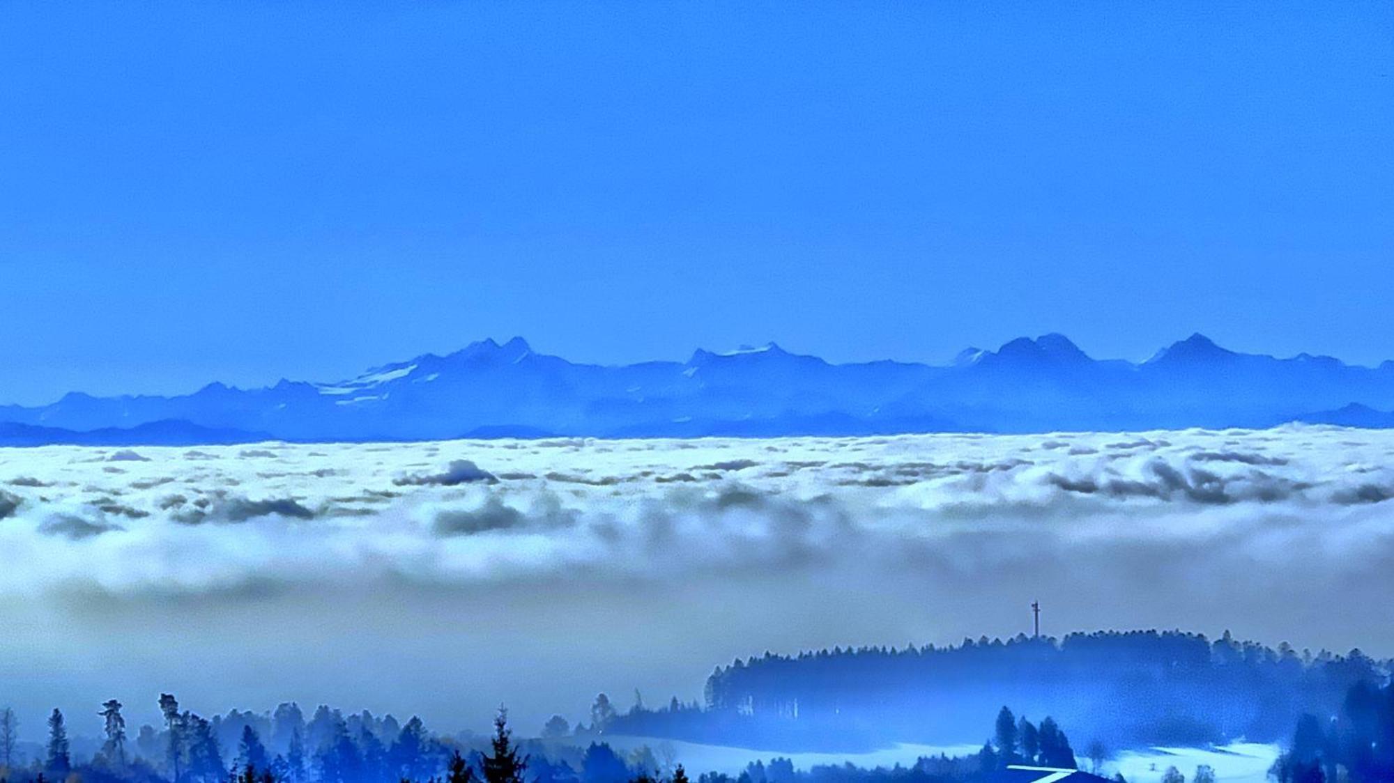 Haus Schlageter Dachsberg im Schwarzwald Exterior foto