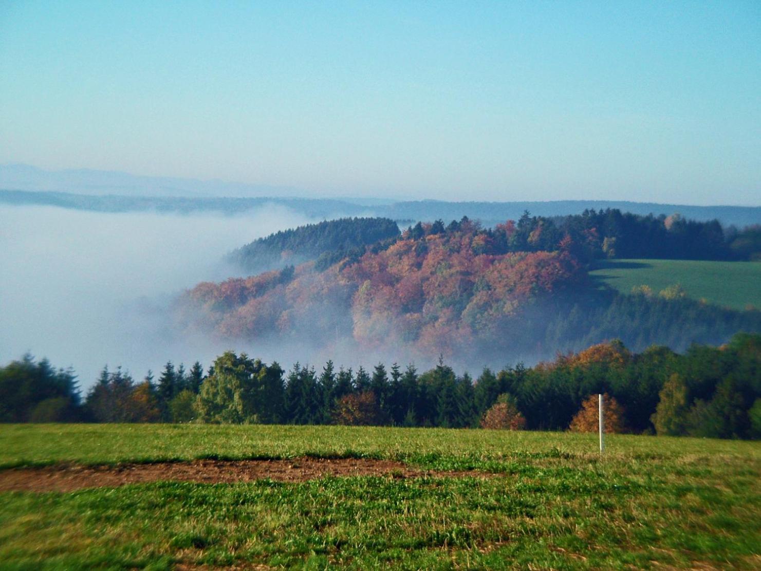 Haus Schlageter Dachsberg im Schwarzwald Exterior foto