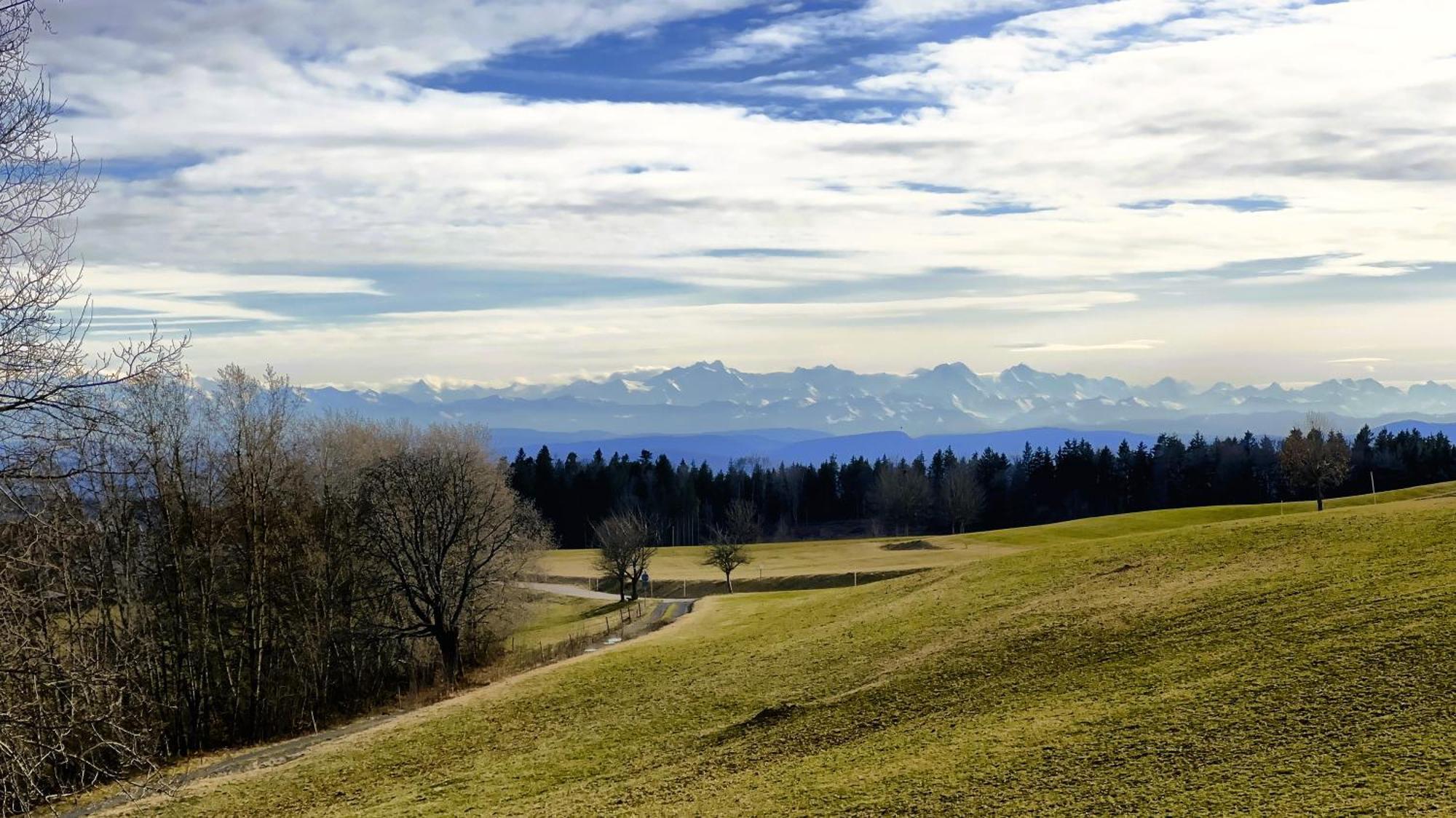 Haus Schlageter Dachsberg im Schwarzwald Exterior foto
