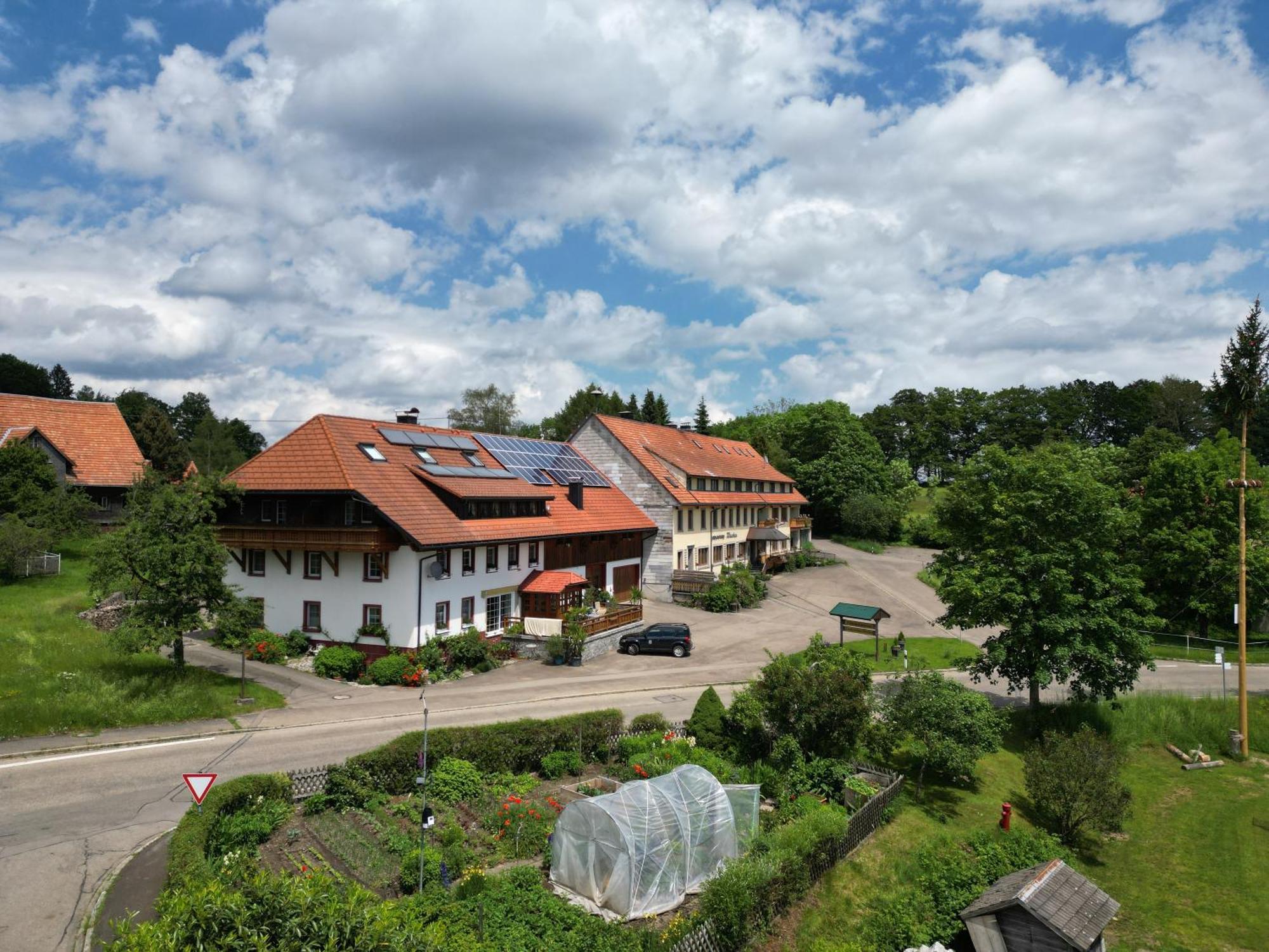 Haus Schlageter Dachsberg im Schwarzwald Exterior foto