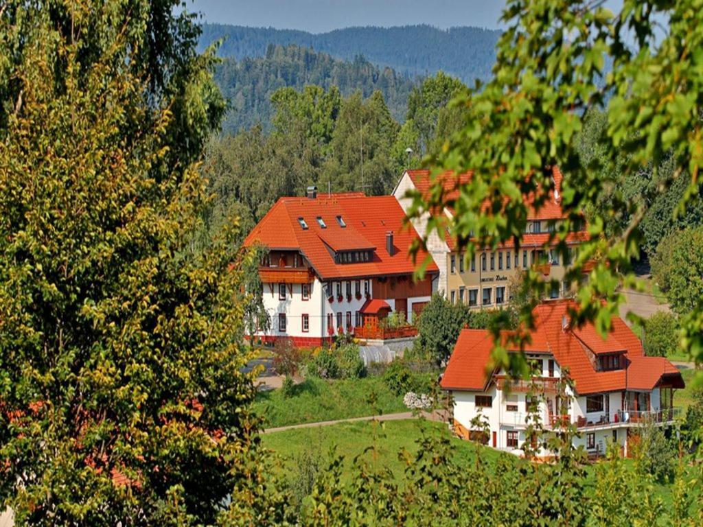 Haus Schlageter Dachsberg im Schwarzwald Exterior foto